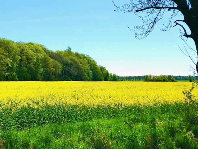 Ferienhaus Neumann - Ein Ganzes Haus Fuer Ihren Urlaub! Hessenburg Exteriör bild